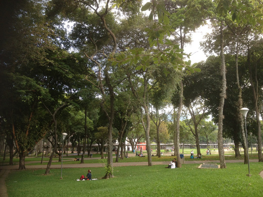 Vista de los jardines del interior de la UCV