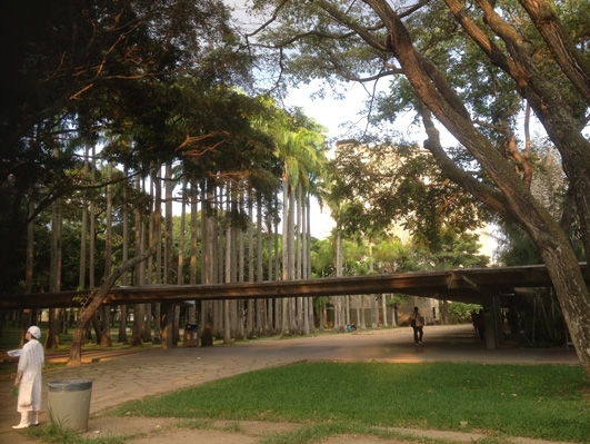 Vista de los jardines del interior de la UCV